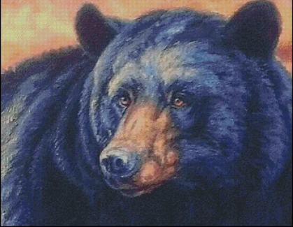 (image for) Basking Bruin